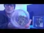Video Thumbnail: Paul's Pothead Previews