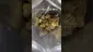 Video Thumbnail: Review Budd