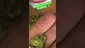 Video Thumbnail: EdTalks420