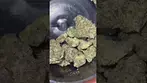 Big Narstie Medical PB T26 Papaya Bantz - close up. #420 #ukcannabis #bignarstie #medicalcannabis