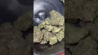Big Narstie Medical PB T26 Papaya Bantz - close up. #420 #ukcannabis #bignarstie #medicalcannabis