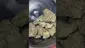 Video Thumbnail: High Jack