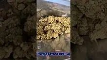 Onemans 420 Video Thumbnail