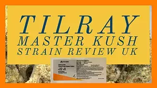 TILRAY Master Kush Strain Review UK
