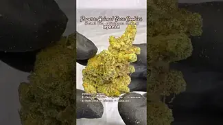 Papers: Animal Face Cookies (A closer look & Terp breakdown)