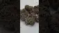 Video Thumbnail: HighStandards420