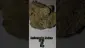 Video Thumbnail: AzztecMedia