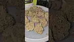 Next Friday's Blueberry Fuego UK Medical Flower First Impressions
