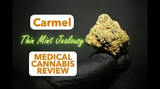 Thin Mint Jealousy | Carmel | UK Medical Cannabis Review