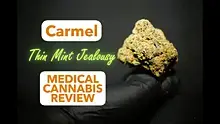AK87 Reviews Video Thumbnail