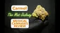 Video Thumbnail: AK87 Reviews