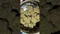 Video Thumbnail: WestPacks420