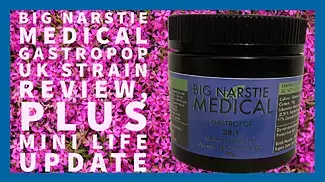 Big Narstie Gastropop Review (+ Mini Life Update)
