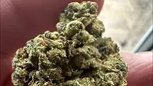 Medical Bud Reviews Video Thumbnail