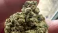 Video Thumbnail: Medical Bud Reviews
