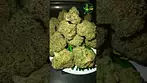 Big Narstie Medical - Carbon Fiber smalls T25 - non irradiated