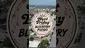 Video Thumbnail: Wakey Wakey