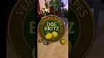 Verified DOE Britz  | Bright, Zesty & Built to Chill