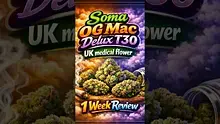 VIP THC Video Thumbnail
