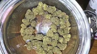 Frozen Lemon Haze