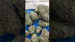 #4CLABS 36%THC DONKEY BUTTER  #4 C LABS #medicalcannabis #cannabisdaily #flavours #medical