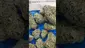 Video Thumbnail: Mary Jane Media 420