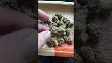  Sirspliffalot87 Video Thumbnail