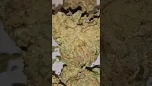 AzztecMedia Video Thumbnail