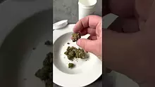 Medical Bud Reviews Video Thumbnail