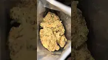 High Jack Video Thumbnail