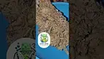 Craft Botanics T28 SMM Slurricane Mimosa Azztecmedia UK MEDICAL Reviews Part 2 FENIX 2 vap test