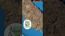 Azztecmedia UK Medical Video Thumbnail