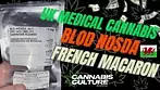 UK MEDICAL CANNABIS | FRENCH MACARON | BLOD NOSTA T26 | FIRST LOOK