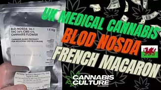 UK MEDICAL CANNABIS | FRENCH MACARON | BLOD NOSTA T26 | FIRST LOOK