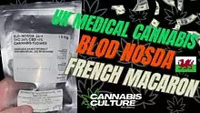 Cannabis Culture  Video Thumbnail