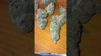 CannFx - Permanent Marker #cannabisdaily #medicalmarijuanapatient #cannabiseducation