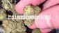 Video Thumbnail: BabyzBudz