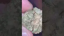 Medicated Barber Friend Video Thumbnail