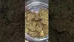 Green Karat ~ Modified Gas (27.9%)