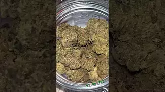 Green Karat ~ Modified Gas (27.9%)