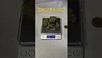 Green Karat: Lemon Skunk (Pack opening & Weigh)