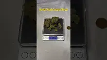 Review Budd Video Thumbnail