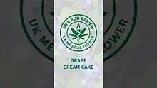BB's Bud Review Video Thumbnail