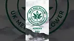 Korean BBQ - 27% THC
