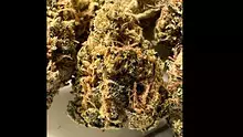 Medical Bud Reviews Video Thumbnail