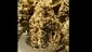 Video Thumbnail: Medical Bud Reviews
