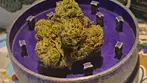Green Karat PV T28 Pave S1 Medical Cannabis Flower