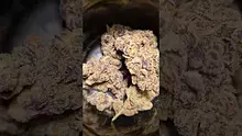 ezratheplug Video Thumbnail