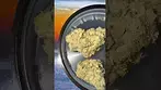 Chapel of Love (Wedding Cake x Gush Mints) - UK medicinal cannabis flower