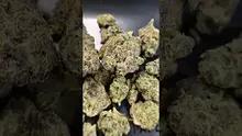 PrescribedBouquet Video Thumbnail